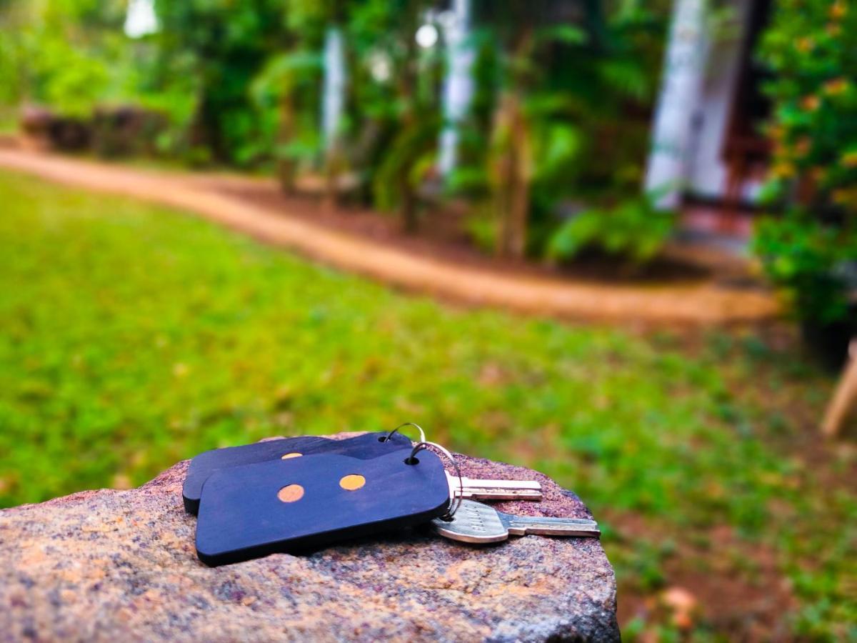 Woodholic Homestay 锡吉里亚 外观 照片