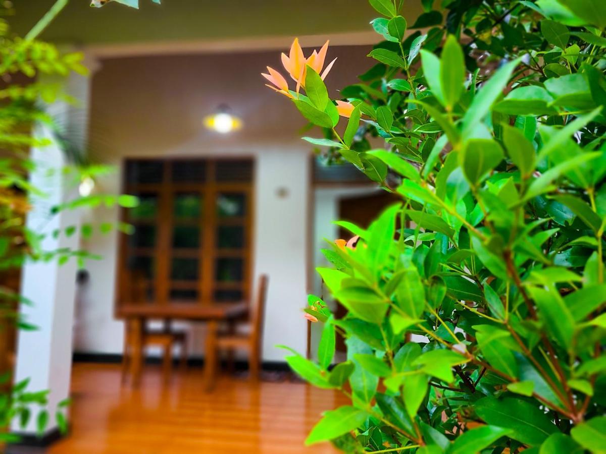 Woodholic Homestay 锡吉里亚 外观 照片