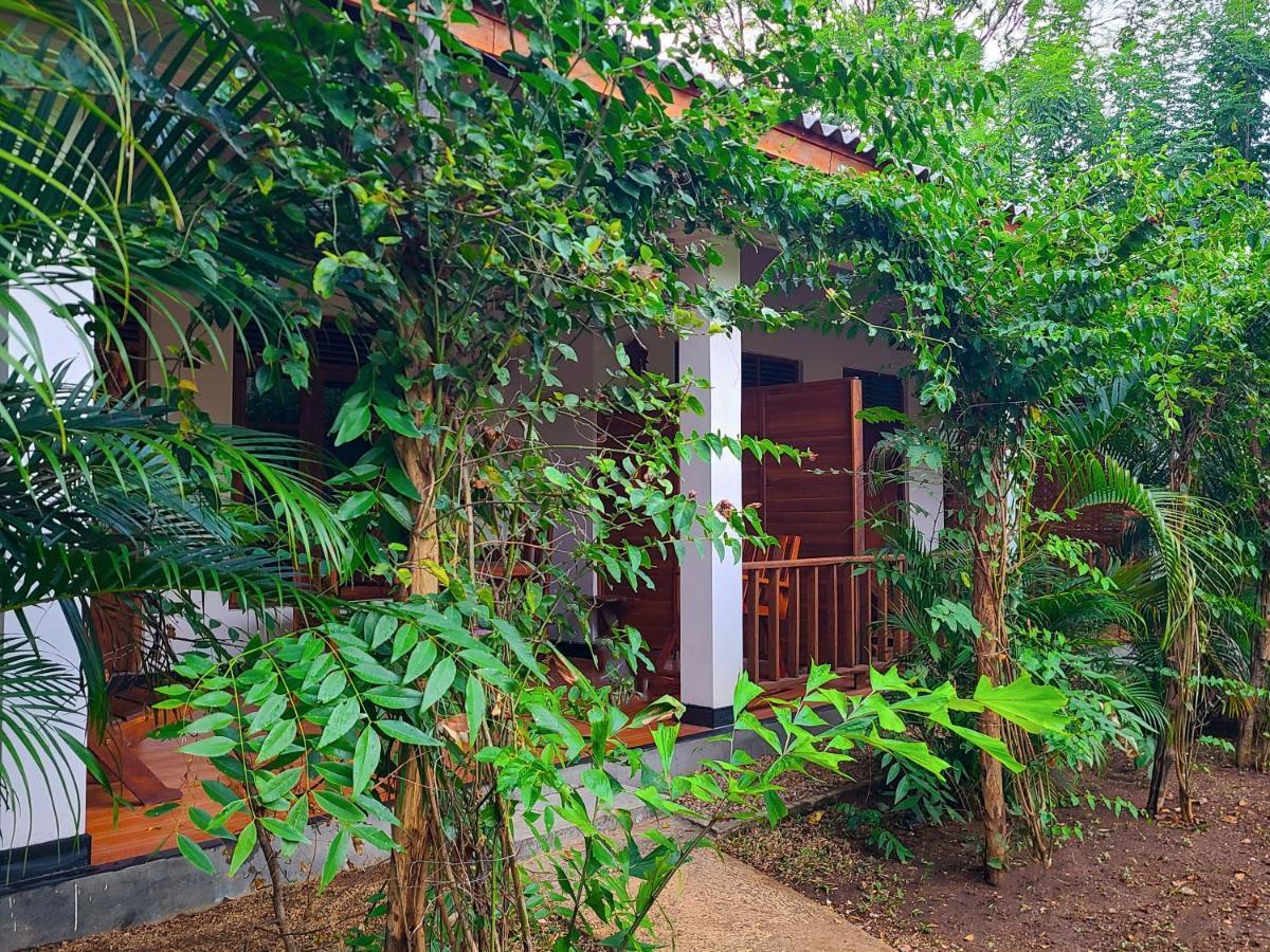 Woodholic Homestay 锡吉里亚 外观 照片