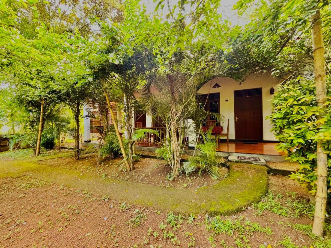 Woodholic Homestay 锡吉里亚 外观 照片