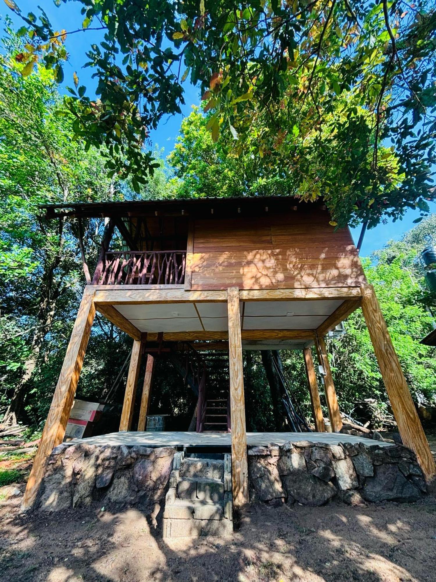 Woodholic Homestay 锡吉里亚 外观 照片